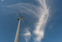 uat-实物 7岁以上